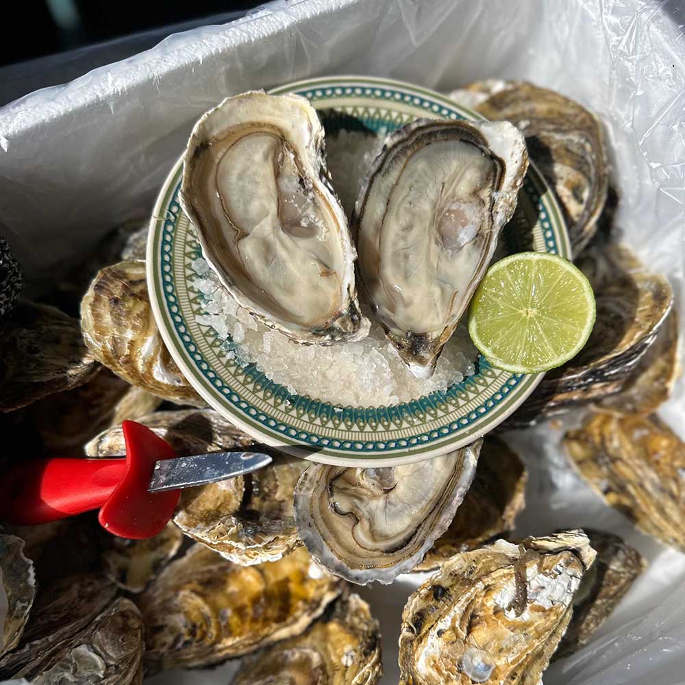 Kit Vinho Sauvignon Blanc Veramonte Orgânico e Ostras Japonesas