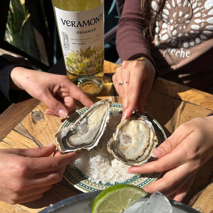 Kit Vinho Sauvignon Blanc Veramonte Orgânico e Ostras Japonesas